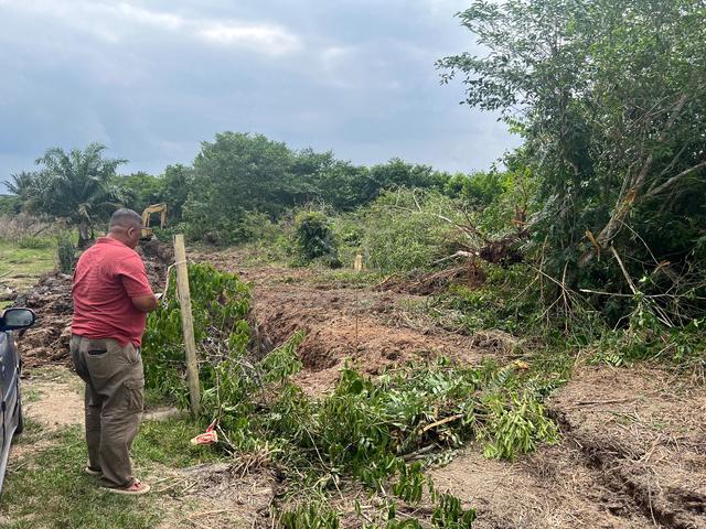 TANAH KEBUN SAWIT Untuk dijual 1