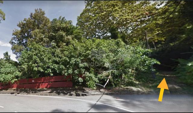 Pearl Hill Land - backed by mountain overlooking sea 1