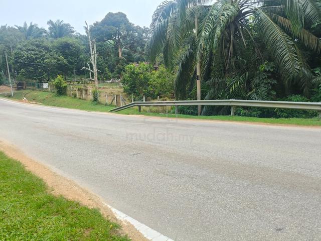 Tanah kebun tepi jalan 1 ekar di Alor Gajah, Melaka 1