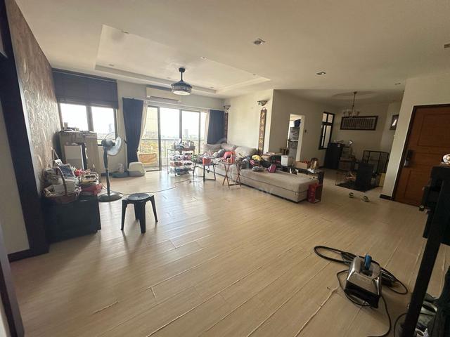 Palm Palladium 3