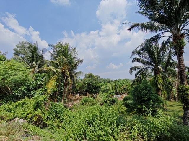 3 COMBINING LOT Agriculture Land Besides Taman Desa Bidara Kuala Ketil 1