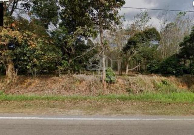 Tanah Penternakan/ Pertanian Bukit Selambau 1.6 Hektar @ 5.5 Relong 1