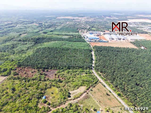 MANY ACCESS Agriculture Land Bukit Selambau FOR SALE 1