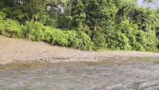Tanah Tepi Sungai 1