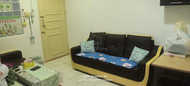 Country Heights 1