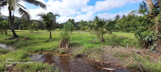 Tanah kebun Kelapa untuk di Jual 1