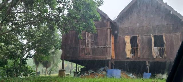 Rumah kontemporary berserta ladang kelapa sawit 1