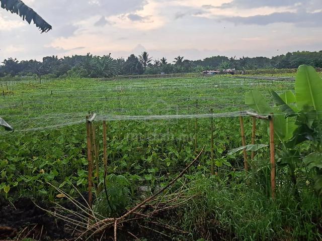 KLANG JOHAN SETIA, 1 Acre Flat Land for Sale 🎈 Beside Reserve Roa 4