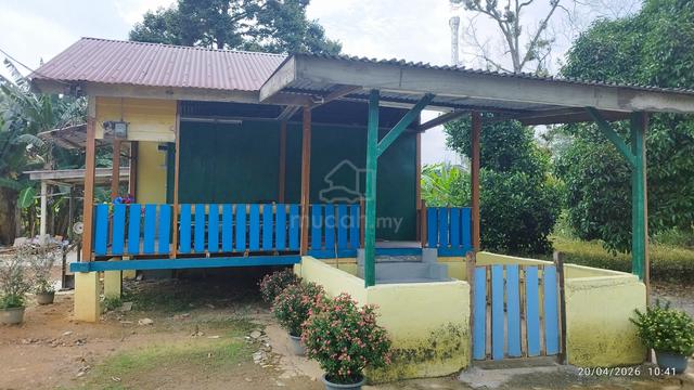 Rumah Kampung Untuk Disewa 1