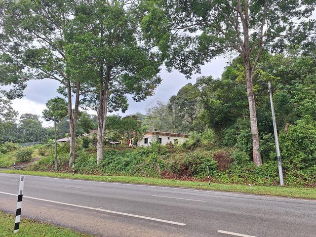 Kundur,Pedas Negeri sembilan Land 1