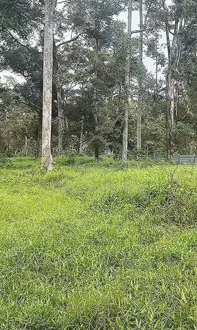 Tanah kebun durian 1