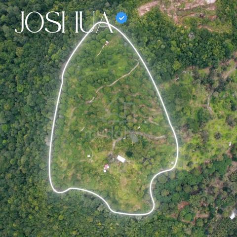 Rare Hill Top Durian Orchard Land Balik Pulau Penang 1