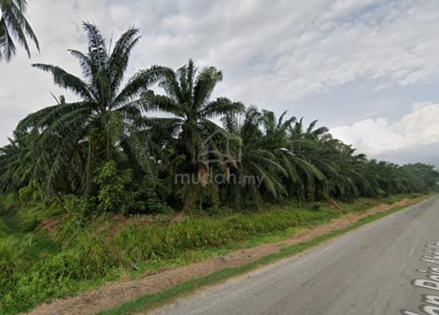 23 Acres Jeram | Industrial Conversion Potential | Freehold 1