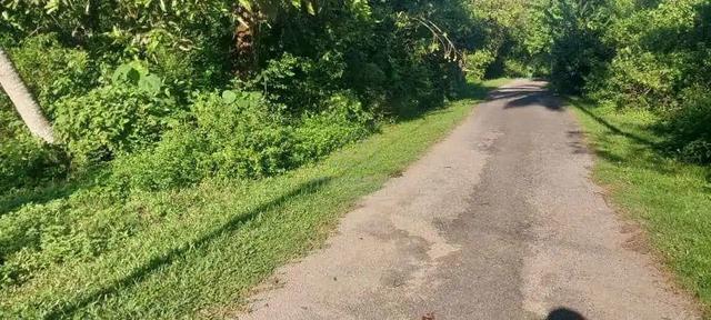 Tanah Lot Untuk Dijual Di Kampung Cik Zainal 1, Chemor. 1
