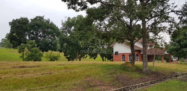 Corner College Heights Garden Near Golf Course 10m To Eco majestic 1