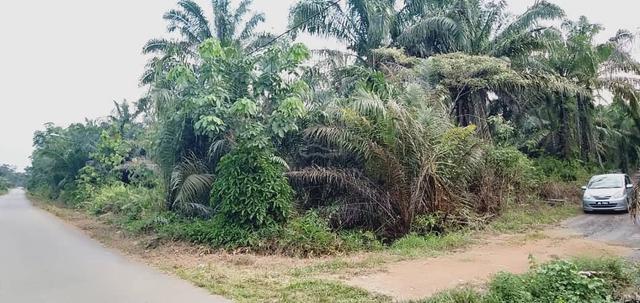 Tanah untuk di jual Parit wagiman, Benut. Mukim sungai Pinggan 1