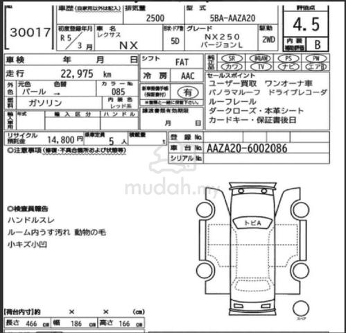 2023 Lexus NX250 2.5 Version L 23K Km P/ROOF 4 CAM - 4