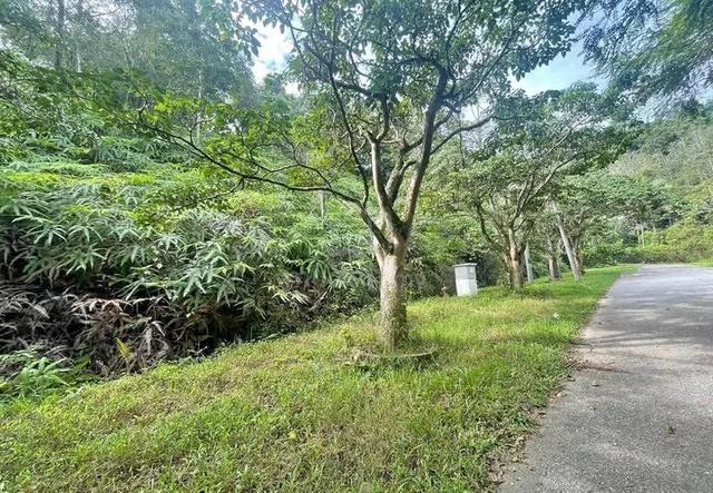 Tanah lot di kaki bukit di Hulu Yam untuk di jual 1