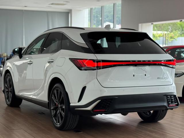 2023 Lexus RX350 2.4 F SPORT ORANGE CALIPER - 2
