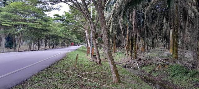 Tanah Murah/Rimba Terjun/Pontian/PTP/WCE Highway/G Patah/Forest City 1