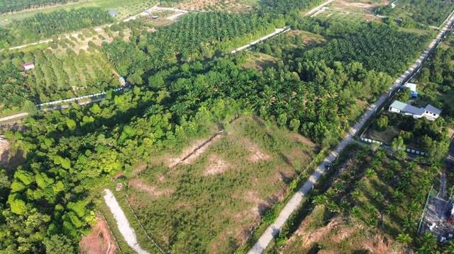 Ipoh Gopeng agriculture land for sale 1