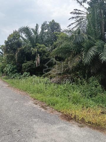 Tanah Corner Lot Beruas untuk dijual 1