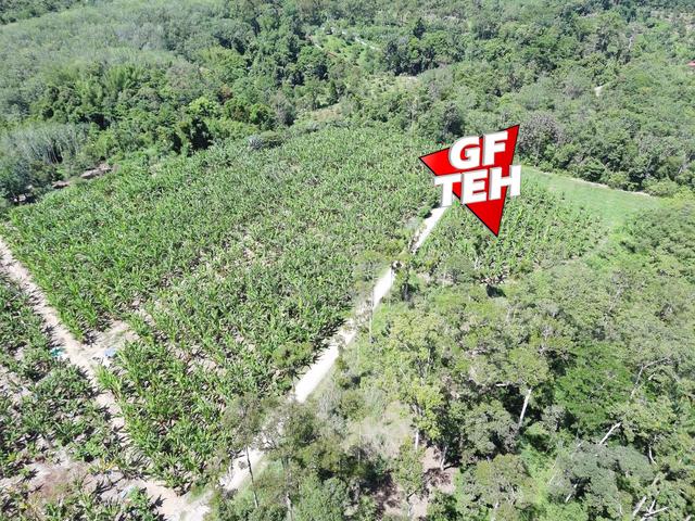 9.99 Acre Agricultual Land | Pengkalan Hulu | Perak b 1