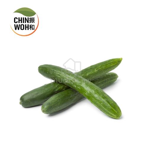 Japanese Cucumber @ Timun Jepun - Food for sale in Ipoh, Perak