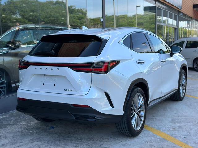 2022 Lexus NX 250 2.5 LUXURY (A) - 2