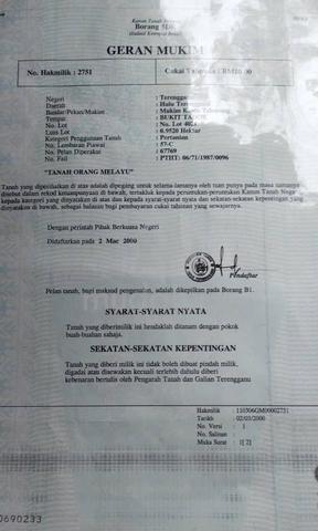 Tanah kebun untuk di jual 1