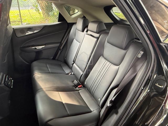 2024 Lexus NX250 2.5 LUXURY 360View BSM DIM P/Boot - 4