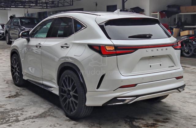 2023 Lexus NX250 2.5 V-L ORI BODY KIT/ M -12000 KM - 5