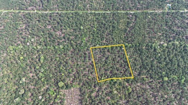 TANAH KEBUN SAWIT 4.45 Ekar di Penerok, Pontian FREEHOLD [MURAH] 1