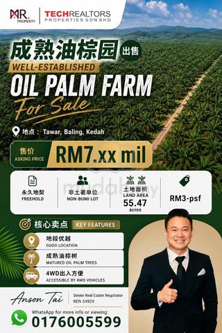 STRATEGIC AREA Oil Palm Farm Tawar, Baling FOR SALE 1