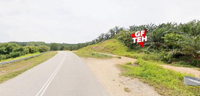 20.19 acre Agricultural Land Palm oil Plantation Kuala Kangsar | Perak 1