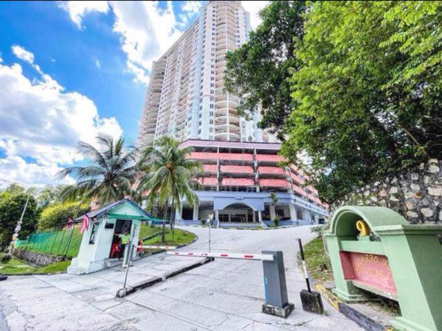 Venice Hill 1