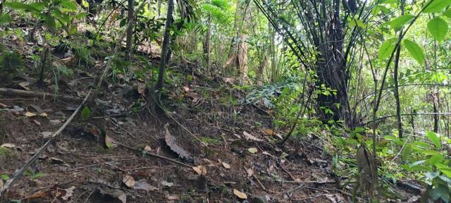 Penampang Land 4.42 Acres NT Land in Babagon, Sabah 1