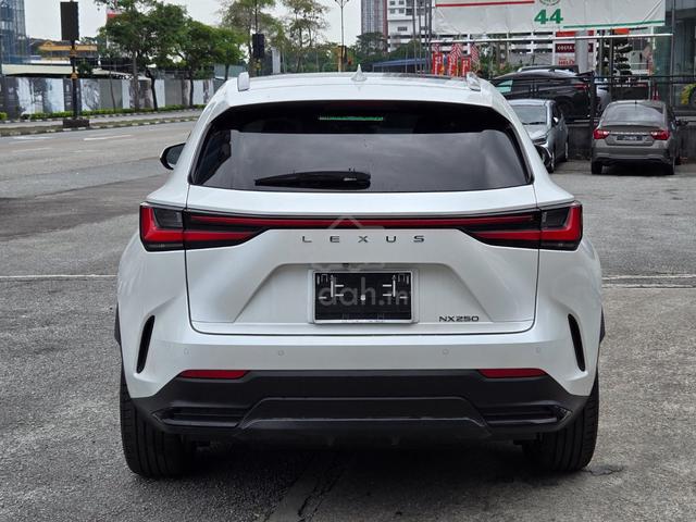 PANROOF/28K KM/2023 Lexus NX 250 2.5 LUXURY - 4
