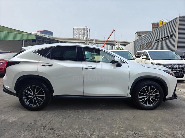 2023 Lexus NX 250 Luxury 4Cam Brown Leather DIMHUD - 5