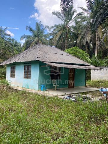 Batu15 Mawai 1