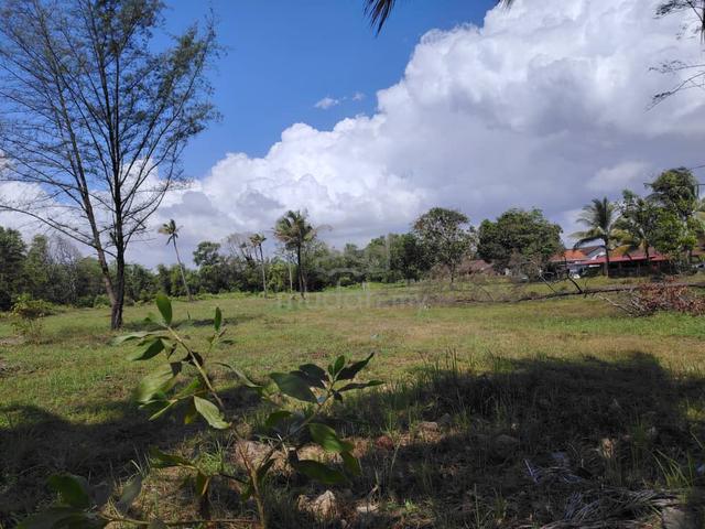 Tanah Pertanian Pantai Sg Ular , Mukim Kuala Kuantan untuk dijual (Tep 1