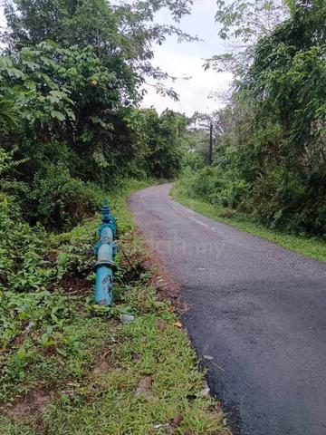 Tanah kebun 4 ekar di SMU Arabiah Gual Ipoh URGENT 1