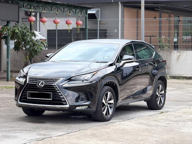 ‼️ 2019 Lexus NX 300 2.0 PREMIUM (A)‼️ - 2