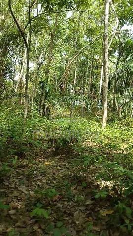 Tanah Kosong Tepi Sungai Mukim Lenggong 3