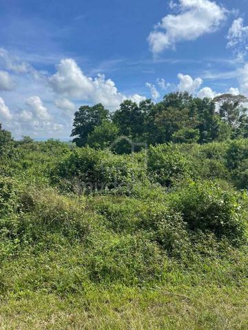 4 acres Petrol Station Land Kota Tinggi 1