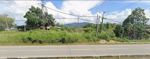 Penampang Pan Borneo Roadside land 1