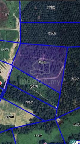 Tanah Pertanian Tanaman Getah Sg Siput Utara 1