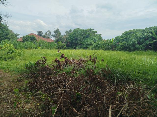 Tanah Di Wakaf Che Yeh 1