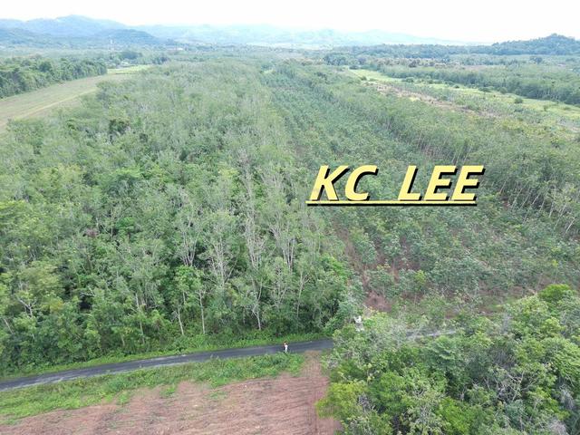 7.671 Acres Flat Land For Sale @ Padang Besar , Titi Tinggi , Perlis 1