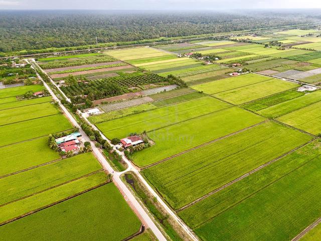 Tanah Pertanian SAWAH PADI Sekinchan 3 Ekar 1 Geran 3